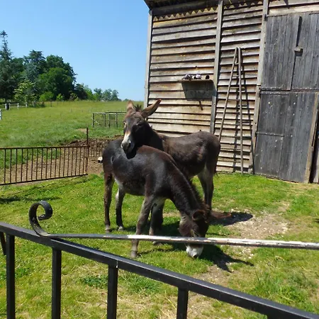 Affittacamere Domaine De Beaufort