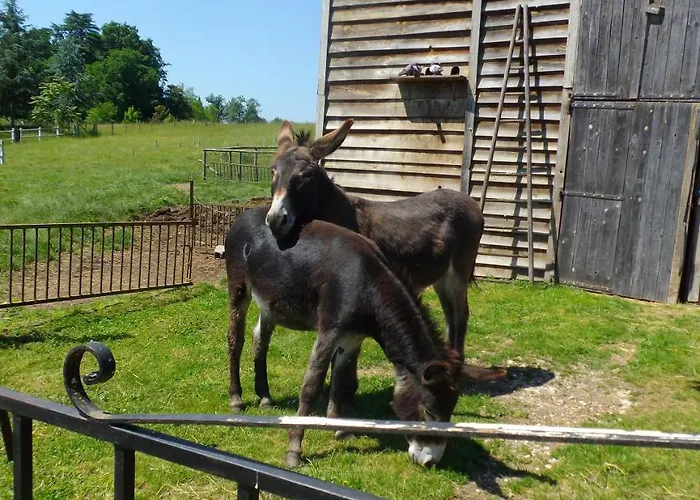 Maison d'hôtes Domaine De Beaufort